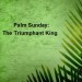 PalmSunday the already triumpohant king